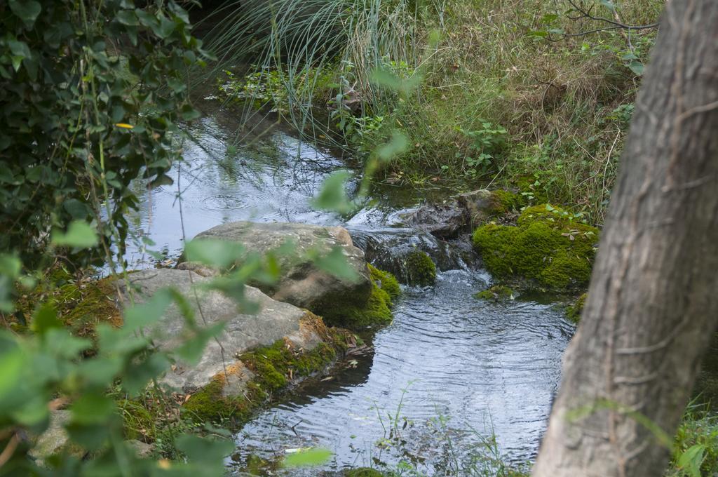 Paúls La Remullaヴィラ エクステリア 写真